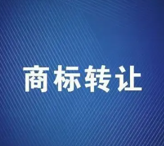 新闻资讯