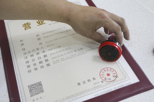 新闻资讯